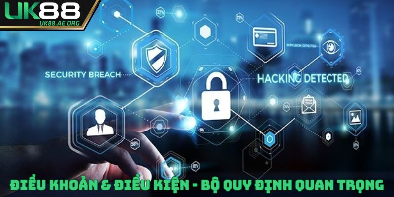 Những đầu mục quan trọng trong điều khoản & điều kiện